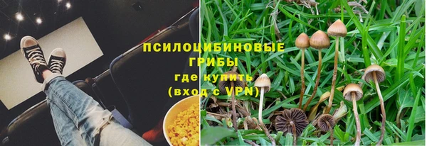 кокс Богданович