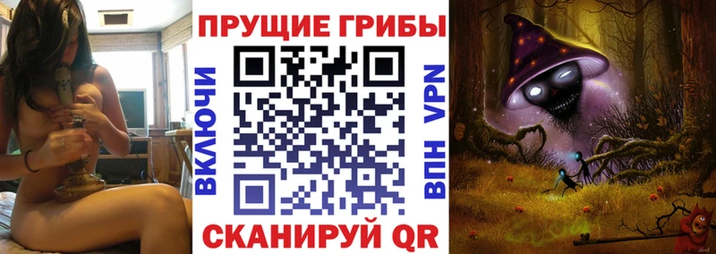 Псилоцибиновые грибы Psilocybe  магазин продажи наркотиков  Ангарск 